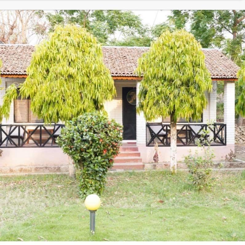 Safari Wildlife Lodge And Camp Chitwan Exterior photo