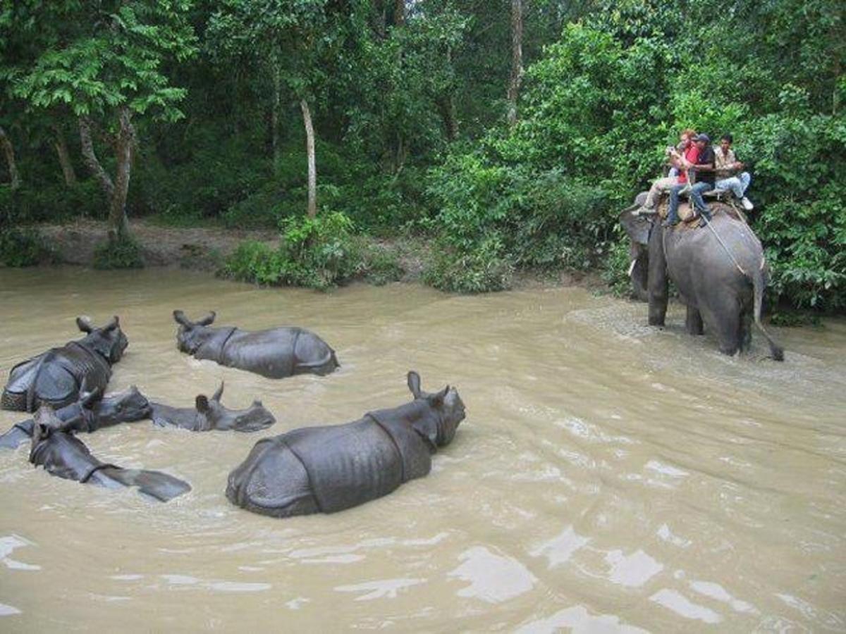 Safari Wildlife Lodge And Camp Chitwan Exterior photo