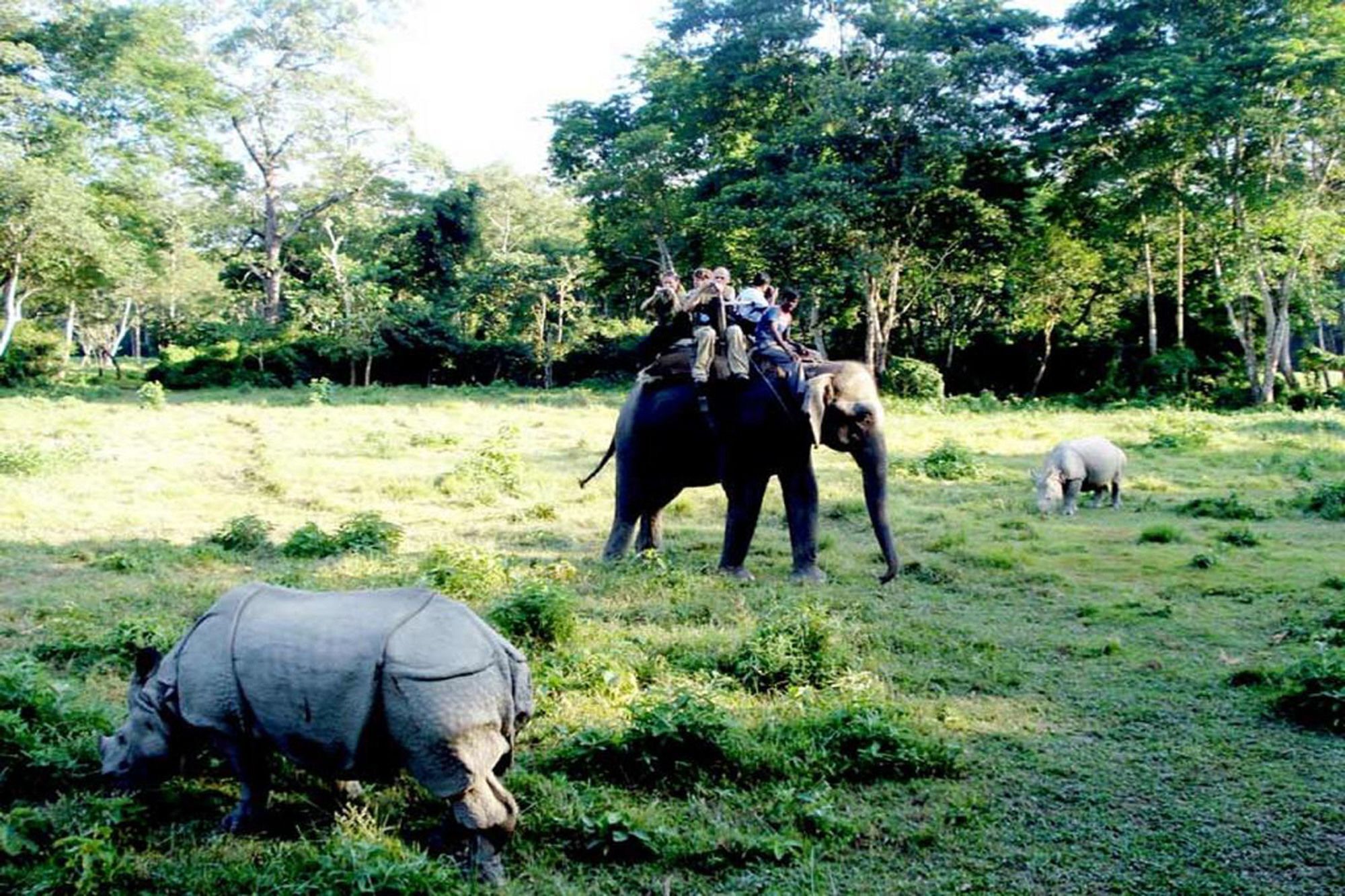 Safari Wildlife Lodge And Camp Chitwan Exterior photo